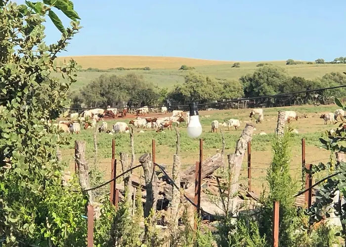 Alojamiento Rural El Soldao