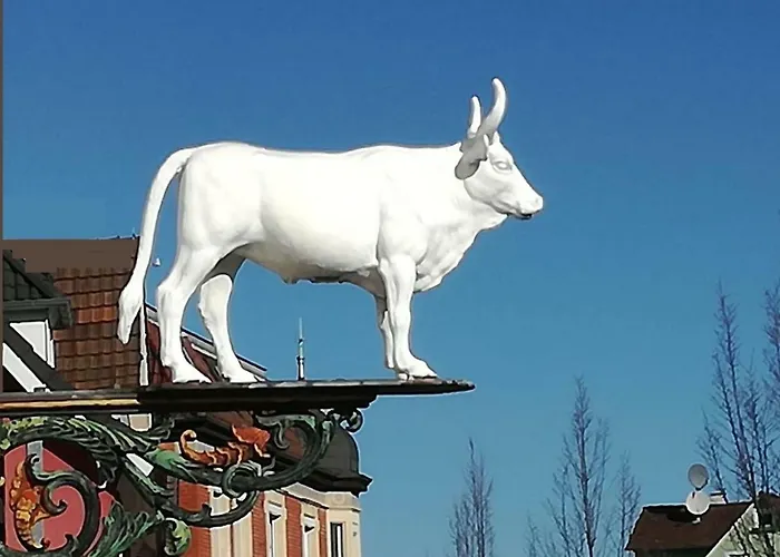 Kiviomi Deco Boutique Hotel Aalen