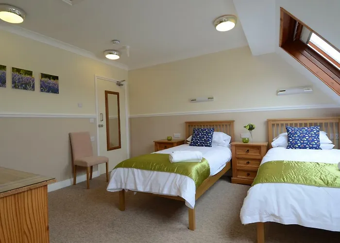 Neuadd Henllan Lodge