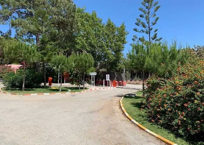 Camping La Buganvilla