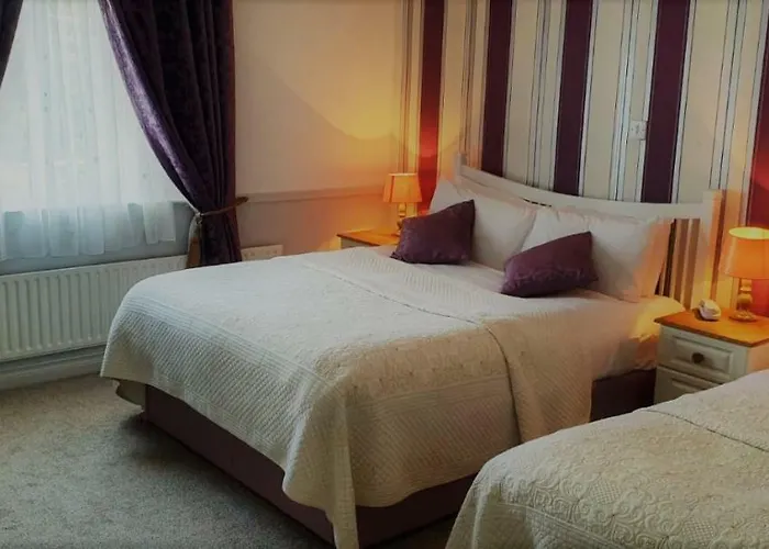 Danagher'S Hotel Cong
