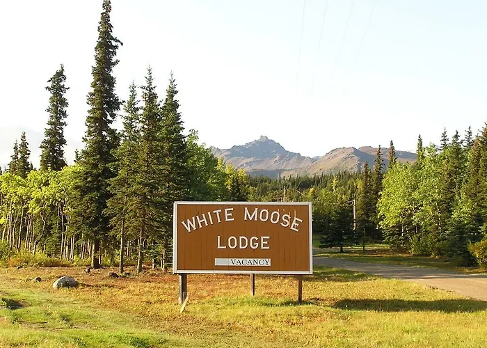 White Moose Lodge