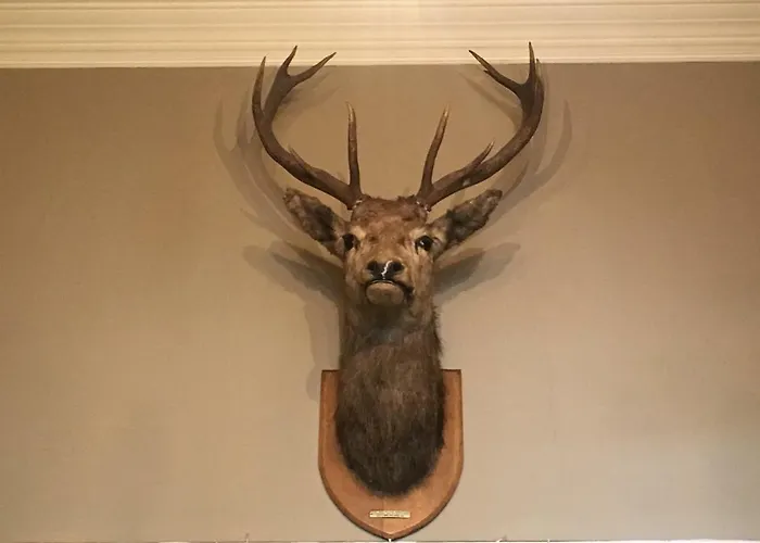 Stonefield Castle Hotel 'A Bespoke Hotel'