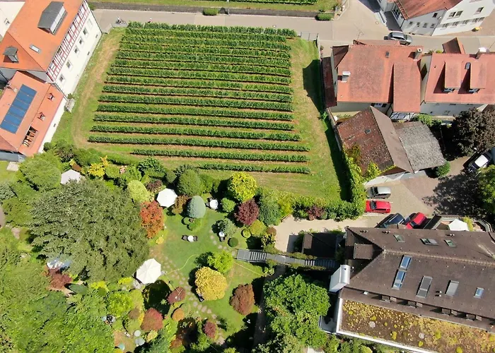 Hotel Der Loewen