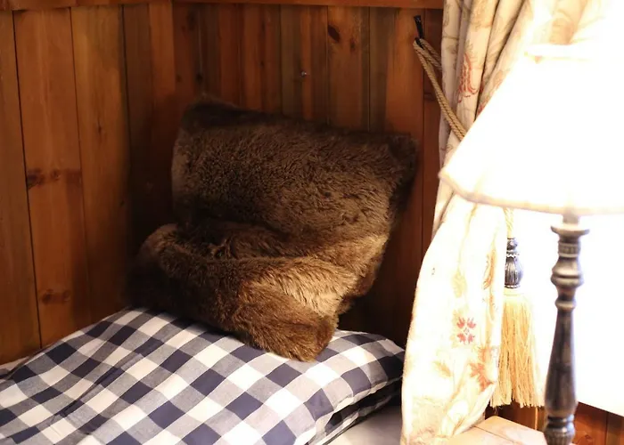Skarvruets Hoegfjaellshotell