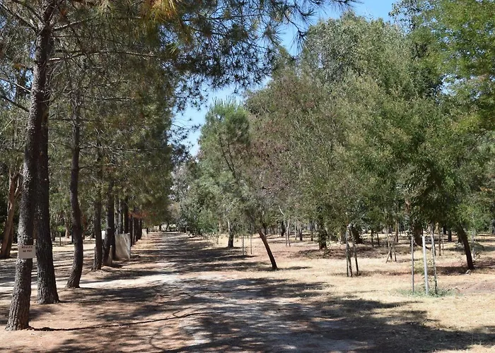 Camping Paradella