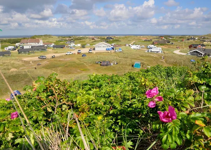 Dancamps Holmsland