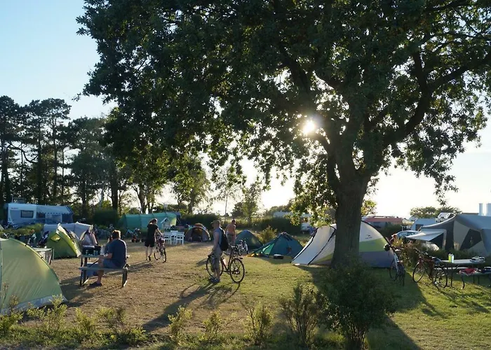Hasle Camping