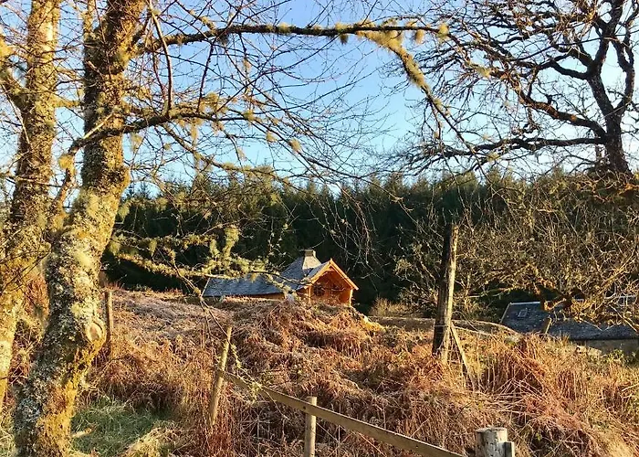The Nest Glamping Pod