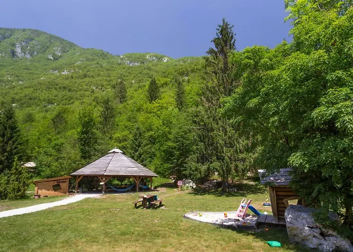 Adrenaline Check Camping
