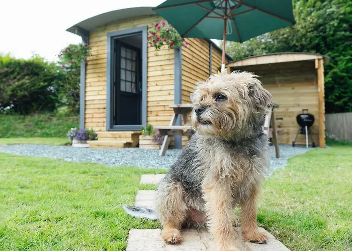 Buttles Shepherd'S Hut