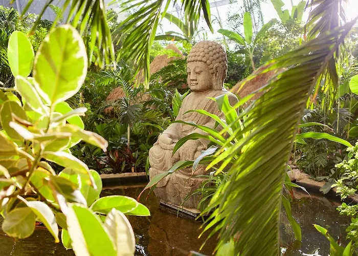 Tropical Islands Campingplatz