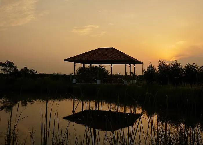 Blackbuck Safari Lodge Velavadar