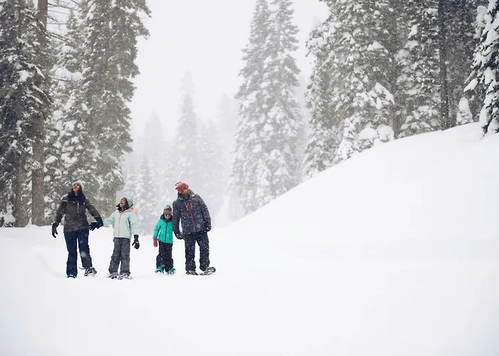 Ski Trails 4024
