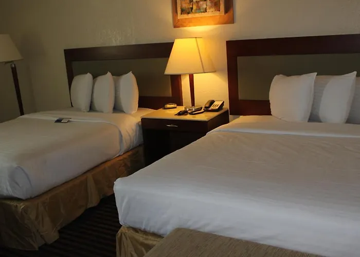 Lexington Inn & Suites-Elgin