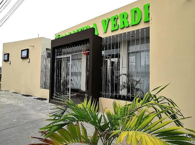 Palmera Verde
