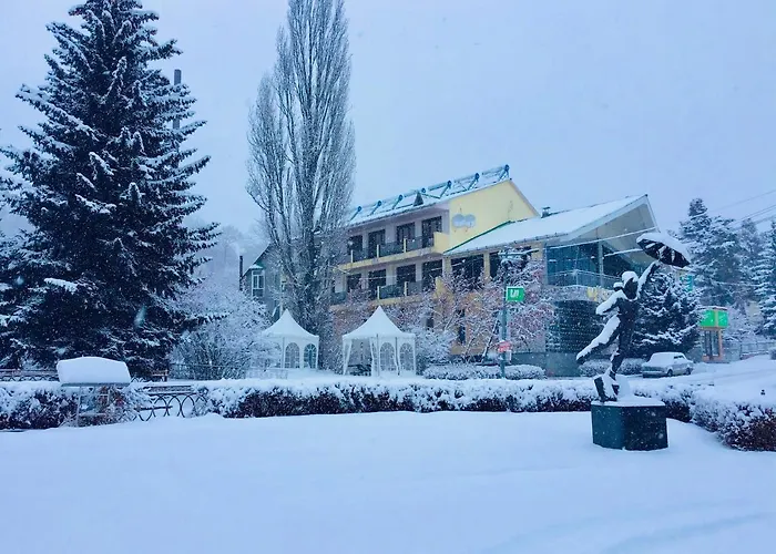 Hotel Saya