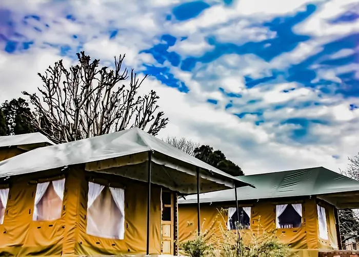 Cbb - Camp Bir Billing