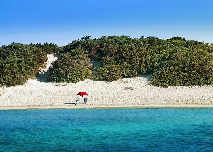 Camping Torre Castiglione