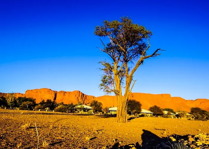 Namib Desert Campsite