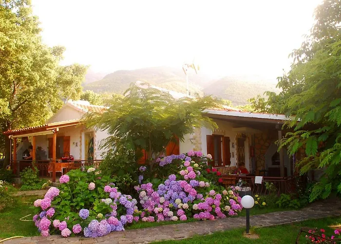 Alekas Studios